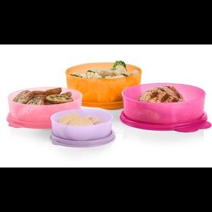 Tupperware 4 pc Portioning Pro Set
